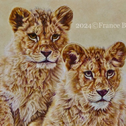 Lion Cubs Postcard -  37 hours
White drawing paper
6" x 8.5"
Ref: Anne Noël